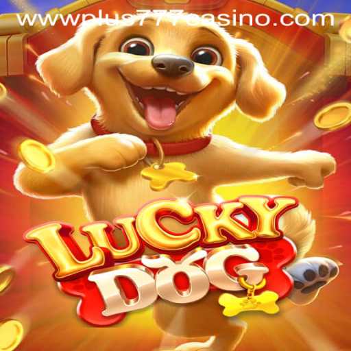 Introducing LuckyDog: A Thrilling Addition to Plus777 Casino